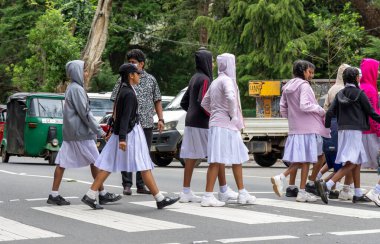 Nuwara Eliya Sri Lanka - 6 Eylül 2024; Bir grup genç kız öğrenci, maske takarak yaya geçidinde yürüyorlar..