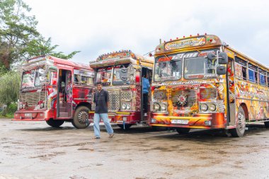 Nuwara Eliya Sri Lanka - 6 Eylül 2024; Asya 'da birlikte park edilmiş renkli yolcu otobüsleri.