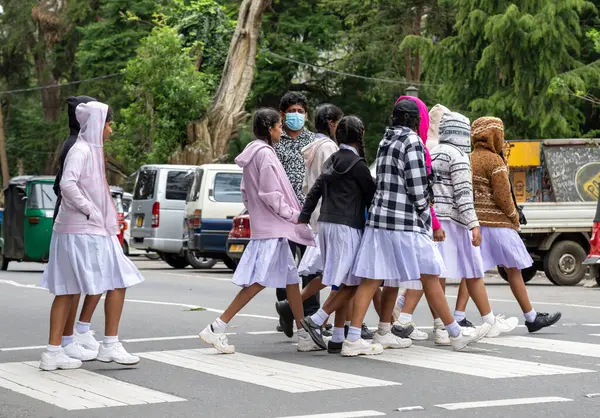 Nuwara Eliya Sri Lanka - 6 Eylül 2024; Bir grup genç kız öğrenci, maske takarak yaya geçidinde yürüyorlar..