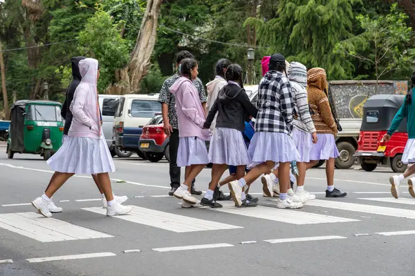 Nuwara Eliya Sri Lanka - 6 Eylül 2024; Bir grup genç kız öğrenci, maske takarak yaya geçidinde yürüyorlar..