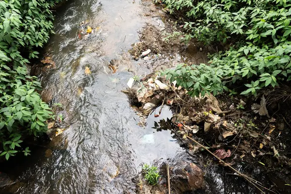 Çevreye zarar veren çöpler, Asya 'daki şehir deresine atıldılar..