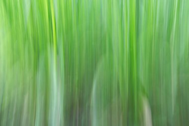 Yeşil doğa dikey çizgi soyut arkaplan resmi.