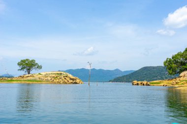Sri Lanka Ulusal Parkı 'ndaki Gal Oya Gölü ile küçük bir adayı geziyor..