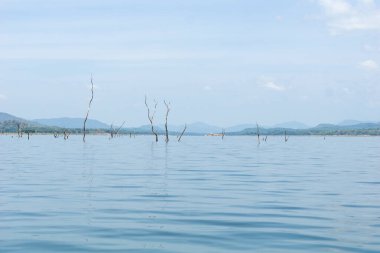 Ulusal Park Sri Lanka 'daki Gal Oya Gölü' nü geziyor..