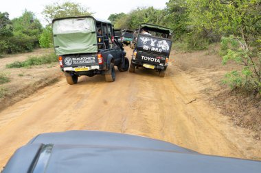 Yala Sri Lanka - 11 Eylül 2024; Dört teker çekişli safari aracı Yala Ulusal Parkı 'ndaki toprak yolda pozisyon almak için itişiyor