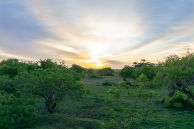 Yala Ulusal Parkı Sri Lanka 'da tropik gün batımı manzarası.