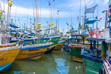 Pettigalawatta Sri Lanka - 14 Eylül 2024; Pettigalawatta 'da editör yoğun açık deniz balıkçılık sahası ve pazarları.