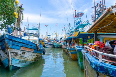 Pettigalawatta Sri Lanka - 14 Eylül 2024; Pettigalawatta 'da editör yoğun açık deniz balıkçılık sahası ve pazarları.