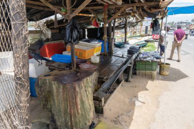 Galle Sri Lanka - 14 Eylül 2024; Köy balıkçıları Galle yakınlarında sokak balıkçılarının balıkçı tezgahı.