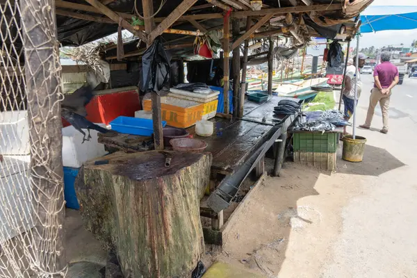 Galle Sri Lanka - 14 Eylül 2024; Köy balıkçıları Galle yakınlarında sokak balıkçılarının balıkçı tezgahı.