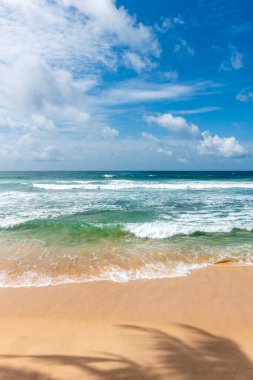 Galle Sri Lanka 'da ufuk açıcı tropik sahil manzarası.