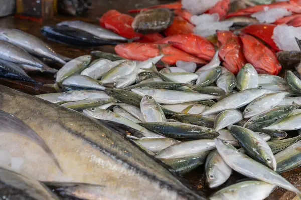 Sokakta balıklar sergileniyor. Galle Sri Lanka 'da Asya sulak balık pazarı.