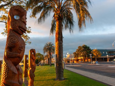 Tauranga Yeni Zelanda - 8 Kasım 2011; Maori kurulumu Tauranga Strand NZ 'ye pou veya totem direkleri oyuldu.