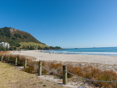 Maunganui Dağı, mavi gökyüzünün altında, uzun kumlu plajın sonunda Yeni Zelanda 'da..