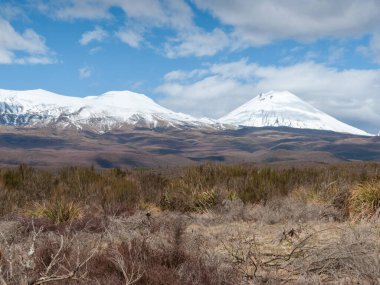 Kuzey Adası Yeni Zelanda 'daki Tussock Çölü' nün ötesindeki Ulusal Park Karla kaplı Dağlar.