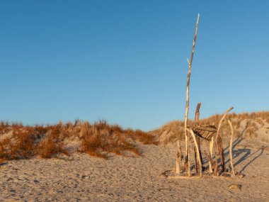 Papamoa plaj sahneleri Papamoa Yeni Zelanda 'da sabah güneşinin altın parıltısıyla.