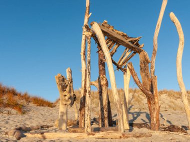 Papamoa plajı sahneleri Papamoa Yeni Zelanda 'da kayan odun yapısı ile sabah ışığının altın parıltısıyla.