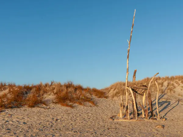 Papamoa plaj sahneleri Papamoa Yeni Zelanda 'da sabah güneşinin altın parıltısıyla.
