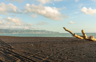 Kıyı sahnesi, Yeni Zelanda 'daki dağlara ve ufuklara kadar uzanan dalgalı kara demir kumsal sahili..