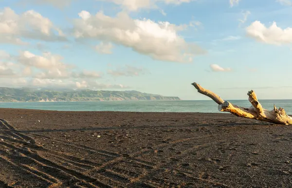 Kıyı sahnesi, Yeni Zelanda 'daki dağlara ve ufuklara kadar uzanan dalgalı kara demir kumsal sahili..