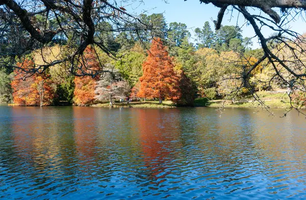 Tauranga Yeni Zelanda 'da McLaren Gölü renkli yeşillik ve sonbaharda yansımaları.