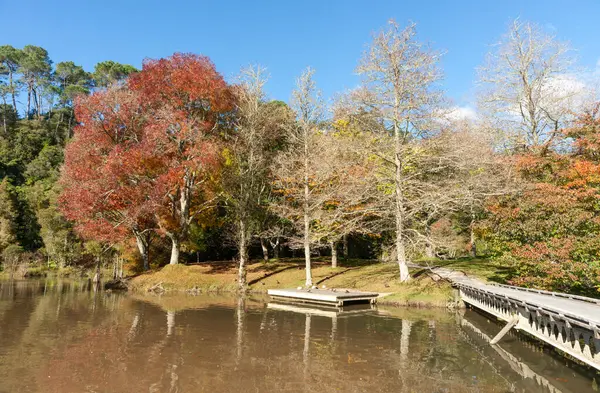 Tauranga Yeni Zelanda 'da McLaren Gölü renkli yeşillik ve sonbaharda yansımaları.
