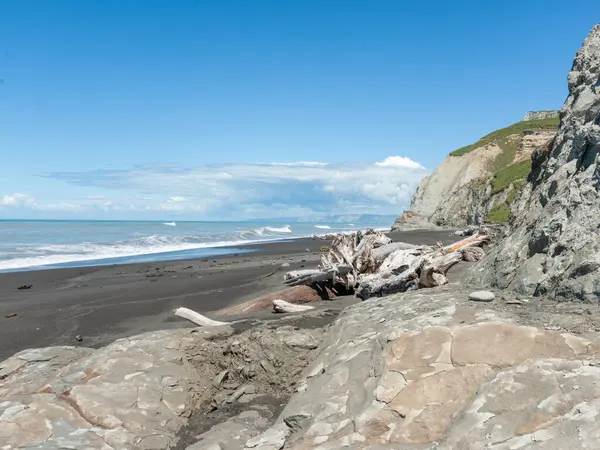Yeni Zelanda kıyı sahnesi ve kayalık önplan.