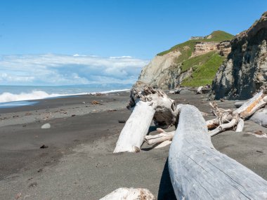 Yeni Zelanda 'nın doğu kıyısında dalgalı ve sarp kayalıklar ve kara kumlar.