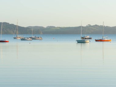 Northland 'daki Algies Körfezi. Körfezin karşısındaki güzel manzara. Sabah ışığında demirlemiş yatlar..
