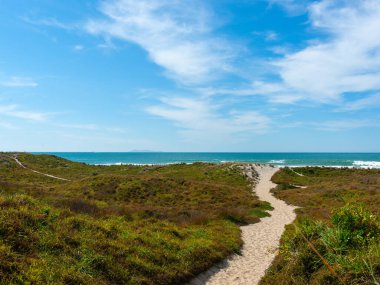 Kum yolu Papamoa Yeni Zelanda 'daki kumsal ve denize çıkıyor..