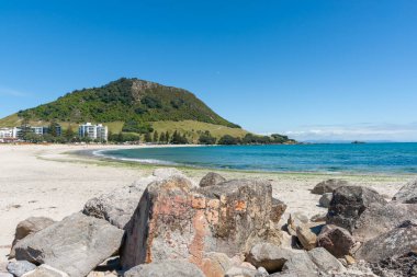 Arka planda Maunganui Dağı 'nın yeşili olan ana plajdaki Moturiki Adası' nda Rocky önplanı.