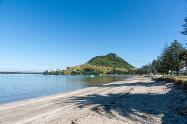 Maunganui Dağı üzerinde tarihi işaretli Pilot Koyu Dağı Maunganui.