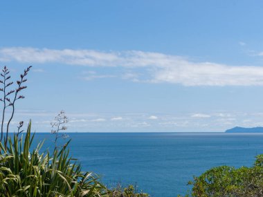 Maunganui Dağı 'nın tepesinden uzak ufka bak.