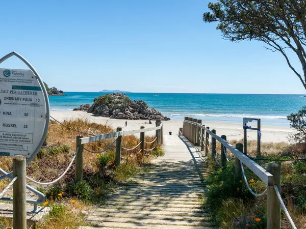 Maunganui Dağı 'ndaki ana plaja giden yol. Belediye Başkanı Adası ufukta görünüyor..