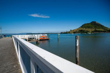 Pilot Bay Maunganui Dağı 'nın sonundaki Salisbury Rıhtımı' nda uyuyan köpek.
