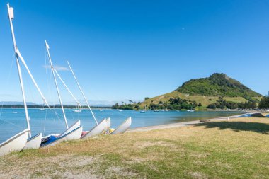 Pilot Koyu 'ndaki Maunganui Dağı' ndaki tekneler.