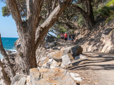 Maunganui Dağı Yeni Zelanda - 10 Kasım 2012; Kemerli pohutukawa altında Maunganui Dağı Üssü 'nün her iki tarafında yürüyen insanlar