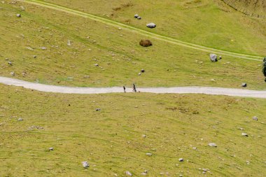 Maunganui Dağı Yeni Zelanda - 8 Kasım 2012; Maunganui Dağı 'nın yamacında sarmal yolda yürüyen önemsiz insanlar.