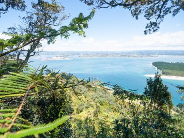 Maunganui Dağı 'nın batı yamacından Yeni Zelanda' nın liman ve Tauranga şehrine bakın..
