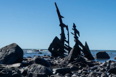 Oakura sahilinin güney ucundaki Gairloch 'un batık kalıntıları Yeni Plymouth plajı..