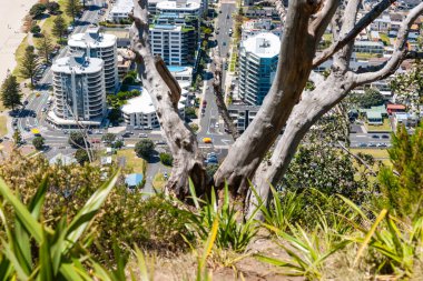 Maunganui Dağı 'nın tepesinden Yeni Zelanda' nın aşağısındaki reklam ve apartman binasına bakın..