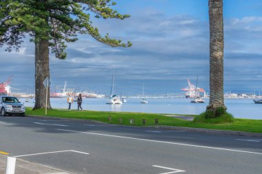 Tauranga Yeni Zelanda - 26 Haziran 2023; Tauranga Limanı 'nın her iki tarafındaki Kılavuz Körfezi' nden ve limandaki yaya taşıyan teknelerden görüntü.