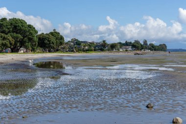 Tauranga Yeni Zelanda - 2 Nisan 2023; Kulim Parkı 'nda deniz çekilmesi.