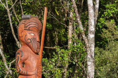 Tauranga Yeni Zelanda - 5 Şubat 2024; Wairere Tapu Gözcü Şelalesi, Tauranga.