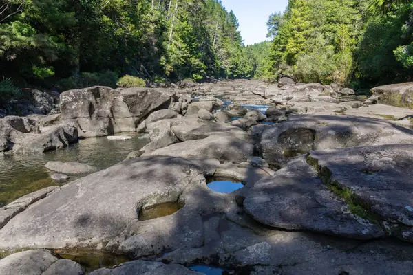 McLaren Falls Tauranga 'daki Rocky akıntısı.
