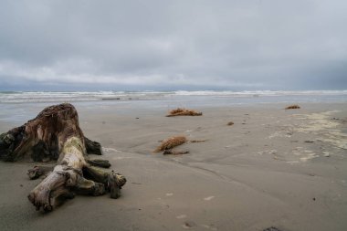 Oreti Plajı 'nda karanlık bulutlu bir gün, Invercargill Yeni Zelanda.