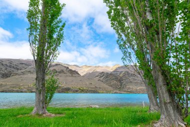 Merkez Otago, Yeni Zelanda 'daki Clutha Nehri' nin diğer yakasında nehir kıyıları akan su ve tepeler..