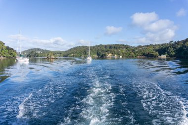 Stewart Adası Yeni Zelanda 'daki Half Moon Körfezi' nde hızla giden teknenin arkasında yıkan..