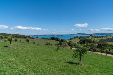 Manzara ve Waitemata Limanı 'ndan Yeni Zelanda' daki Rangitoto Adası 'na bakın.
