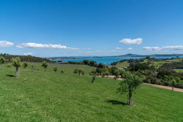 Manzara ve Waitemata Limanı 'ndan Yeni Zelanda' daki Rangitoto Adası 'na bakın.